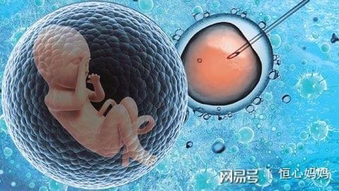 胚胎操作